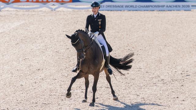 Pferdesport: Deutsches Dressur-Team bei WM auf Gold-Kurs