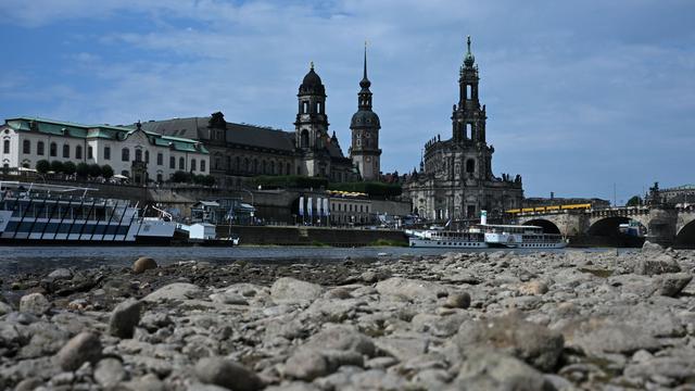 Niedrigwasser: Elbe in Dresden: Wasserstand steigt ab Mittwoch langsam
