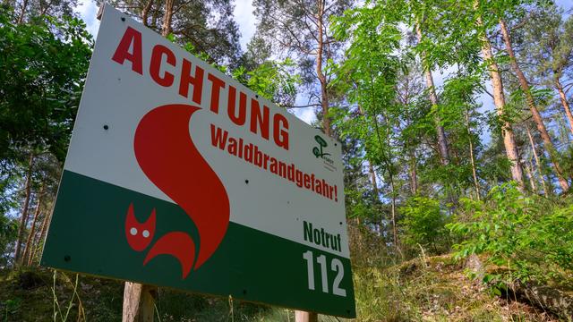 Waldbrandgefahr: Gefahr von Waldbränden etwas gesunken