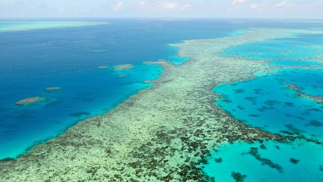 Naturwunder in Australien: Korallen am Great Barrier Reef erholen sich nach Abkühlung