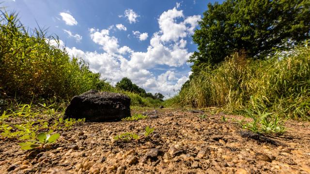 Sommerwetter: Sonne und wohl kein Regen in Berlin und Brandenburg