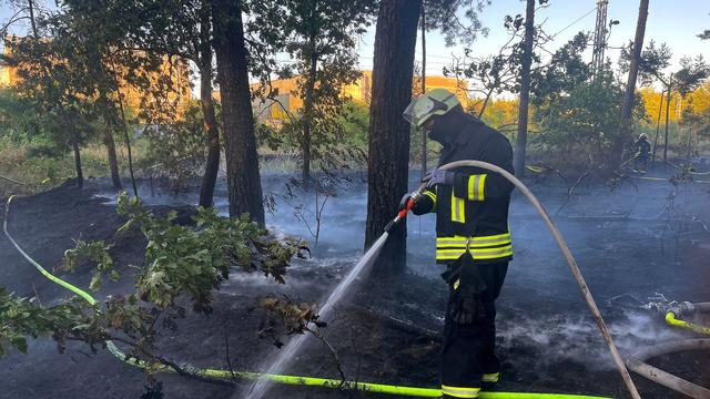 Trockenheit: Feuerwehr im Einsatz - Waldbrandgefahr verschärft sich