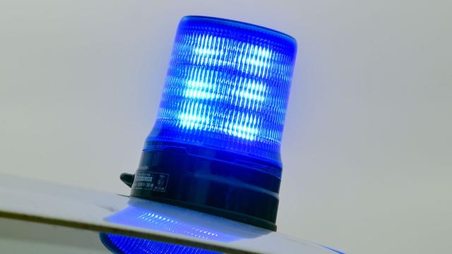 Verkehr: Hund entkommt Frauchen - Autobahn gesperrt