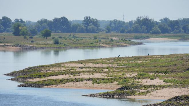 Logistik: Niedrigwasser erschwert die Schifffahrt auf mehreren Flüssen.