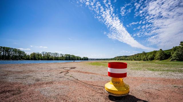 Wettervorhersage: Sonnig und trocken: Hitze in Rheinland-Pfalz und Saarland