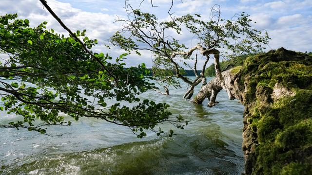Nach Phosphorzunahme: Stechlinsee: Wasserqualität verbessert sich weiterhin