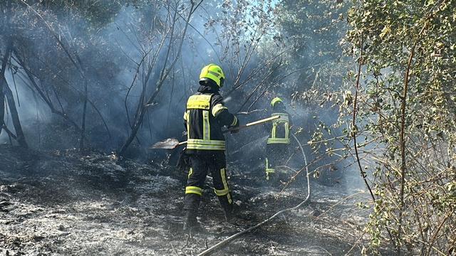 Feuer: Viele Feuerwehrkräfte bei Waldbrand in Hattersheim