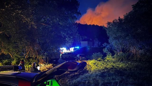 Sieben Hektar betroffen: Waldbrand: Für Plauen «größter Brand der letzten 30 Jahre»