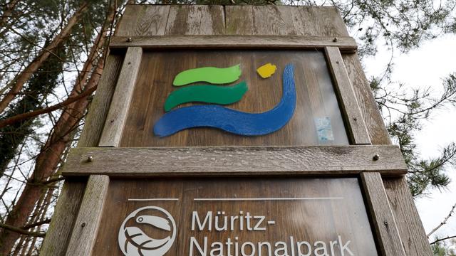 Rauch wahrgenommen: Wieder Waldbrand im Müritz-Nationalpark