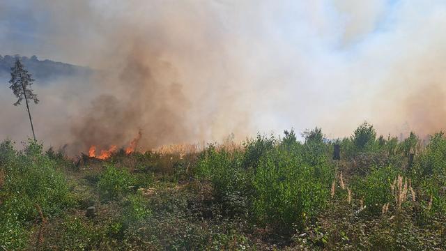 Feuerwehr: Acht Hektar Wald im Sauerland verbrannt - Einsatz dauert an