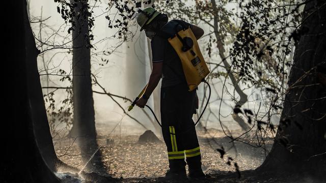 Waldbrand: Brände in Maintal - Jugendlicher im Visier der Ermittler