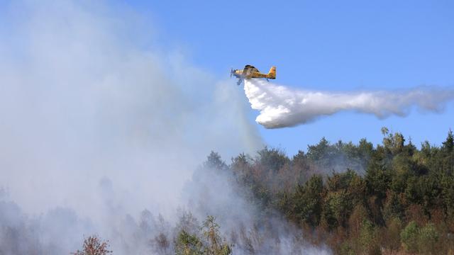 Bild: Feuer im Harz: Waldbrand bei Benneckenstein unter Kontrolle