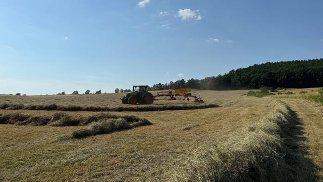 Landwirtschaft: Dürre und Futtermangel: Bauern dürfen Brachen mähen