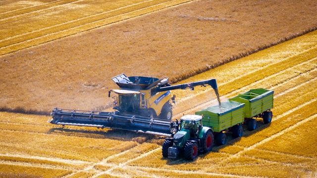 Landwirtschaft: «Getreide verbrennt»: Dürre schmälert Ernte 2026