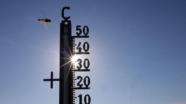 Dramatische Wetterfolgen: Hitzetote - Baden-Württemberg überproportional betroffen