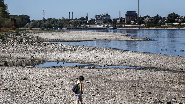 Niedrigwasser: Kaum noch Schiffe - Rekordtiefststand des Rheins bei Köln