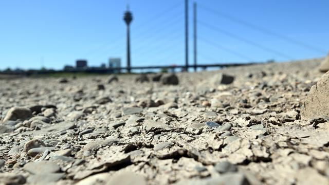 Wie wird der Rhein verändert?: NABU fordert «ökologische Sanierung» des Rheins