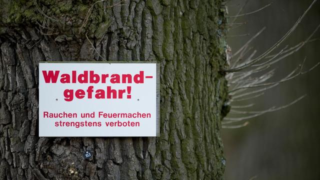 Waldbrandgefahr: Waldbrandgefahr steigt auf zweithöchste Stufe
