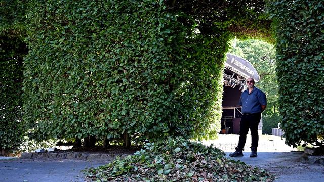 Stadtpark Open Air: 100 Jahre alt – Hecke macht Stadtpark-Open-Air einzigartig