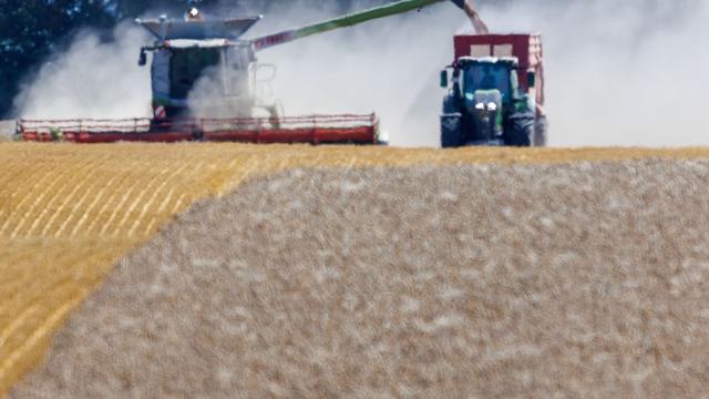 Landwirtschaft: Bauernverband befürchtet teils totalen Ernteausfall