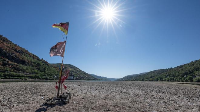 Wetter: In Rheinland-Pfalz zeigt sich das ausgetrocknete Flussbett des Rheins.