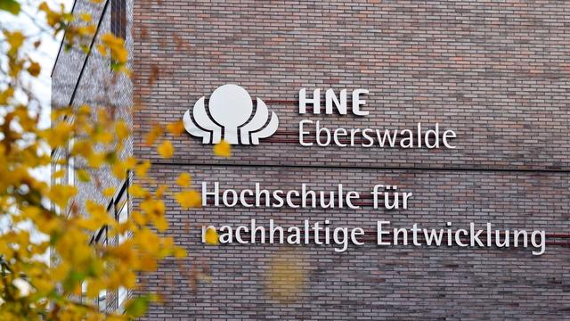 Promotionen: Brandenburgs Fachhochschulen verleihen künftig Doktortitel