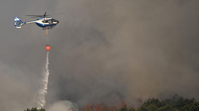 Brände in Deutschland: Experte: Deutschland bei Waldbränden nur bedingt vorbereitet