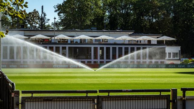 Verwaltungsrecht: Gericht prüft erneut Ausbau Trainingszentrum 1. FC Köln