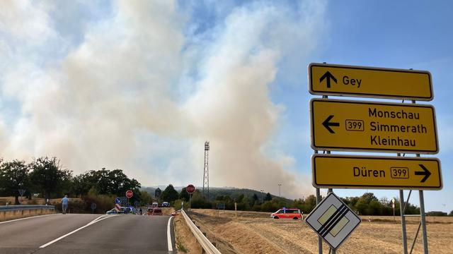 Folgen des Klimawandels: Höhere Waldbrandgefahr: Kommunen wollen mehr Geld vom Bund