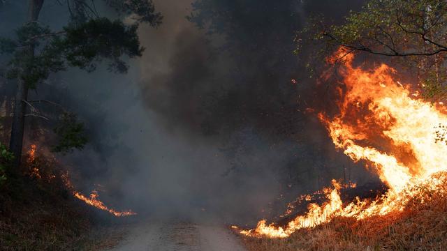 Notfälle: Hubschrauber hilft bei Waldbrand nahe Hürtgenwald