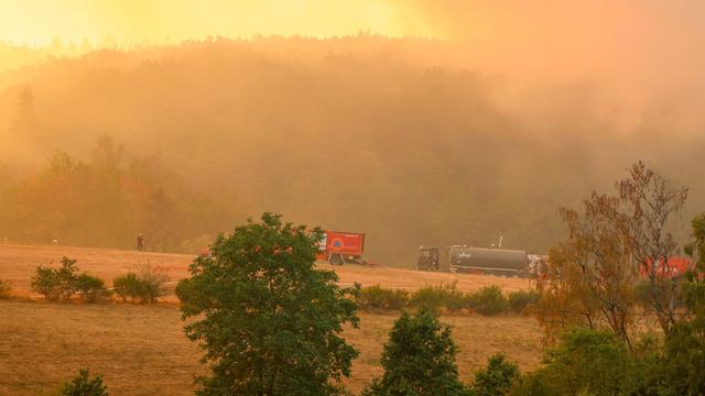 Feuerwehr im Dauereinsatz: Löscharbeiten im Hürtgenwald gehen in der Nacht weiter