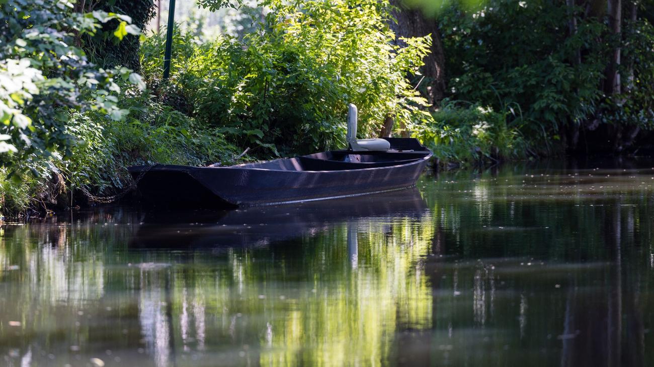 Tourismus: Nach Sperrung wegen Raupen: Spreewald-Fließe wieder frei