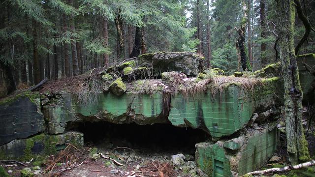 Hintergrund: Todesfalle: die Schlacht im Hürtgenwald 1944/45