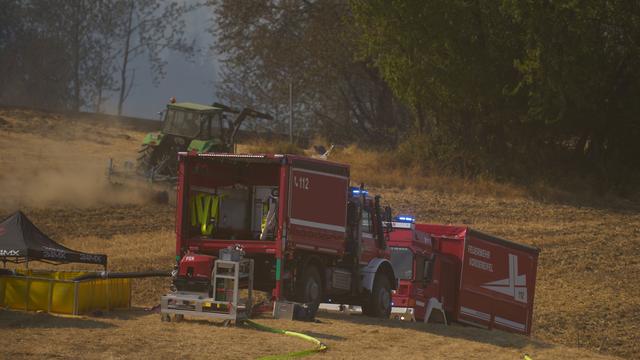 Brände: Vier Verletzte bei Wald- und Wiesenbrand – Feuer dreht