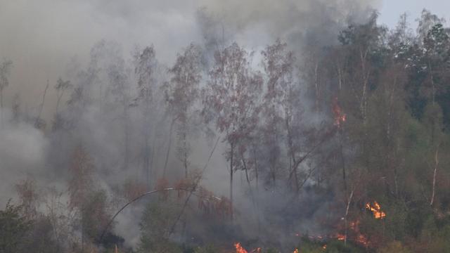 Waldbrand: Waldbrand: Betreuungsstellen für Anwohner verlegt