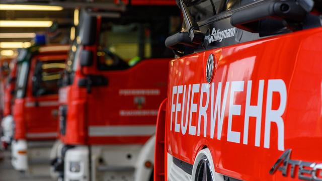 Feuerwehreinsatz: Waldbrand im Landkreis Bamberg – Straßensperrung