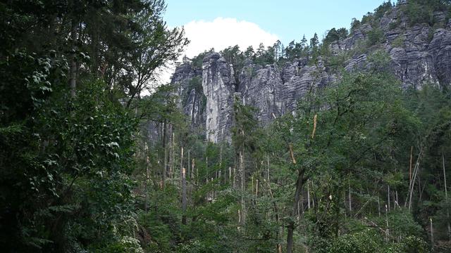 Folgen des Unwetters: Weitere Wege nach Unwetter in Rathen wieder geöffnet