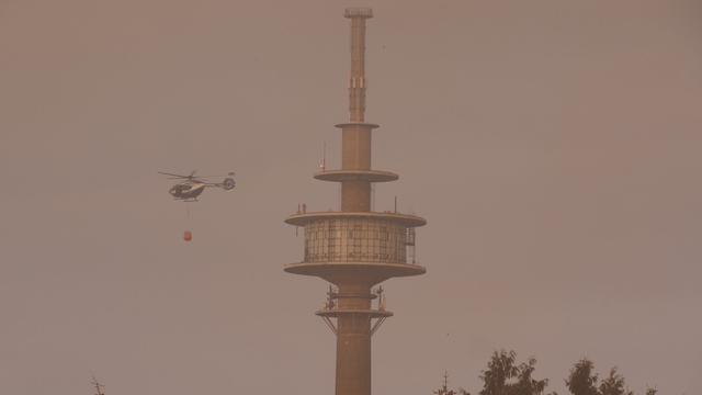 Gefahr in der Luft: Das sollten Anwohner von Waldbränden beachten