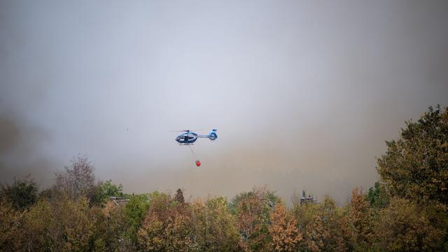 Waldbrand: Hürtgenwald: Wetterdienst rechnet nicht mit Regen