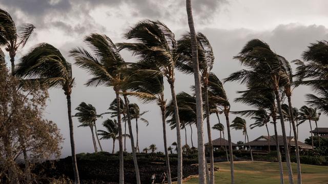 Extremwetter: Hurrikan bringt Starkregen und Stromausfälle nach Hawaii