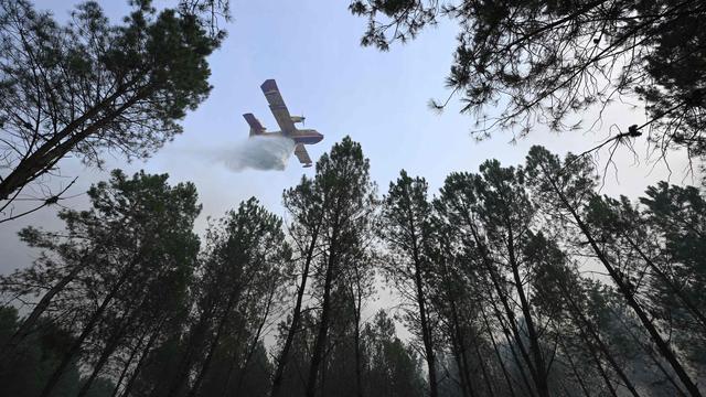 Brände: Neuer Waldbrand im Südwesten Frankreichs