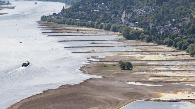 Transportprobleme: Niedrigwasser: Ökonomin Grimm sagt steigende Preise voraus