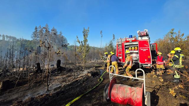 Sieben Hektar betroffen: Waldbrand bei Plauen: Einsatzkräfte werden reduziert