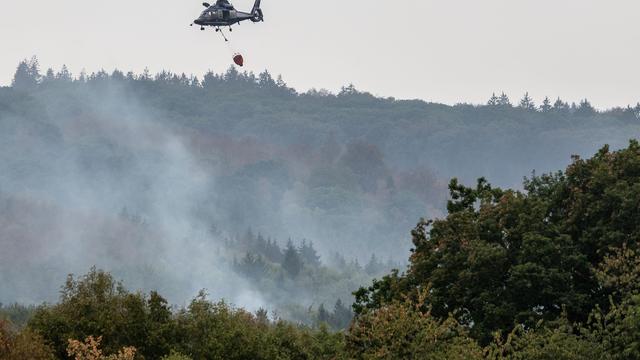 Großbrand: Wetterdienst: Kein größerer Regen im Hürtgenwald