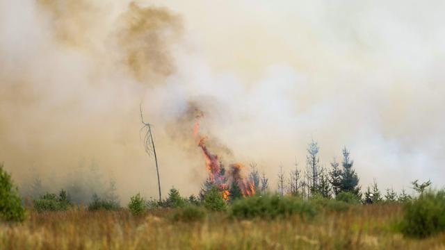Folgen der großen Waldbrände: Brandgeruch von Waldbränden zieht bis nach Baden-Württemberg