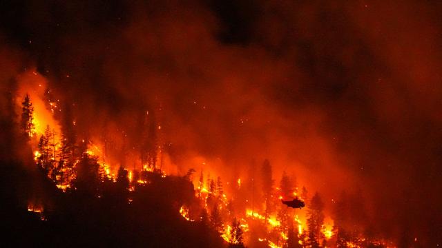 Klimafolgen: Je schneller Wälder brennen, desto intensiver brennen sie