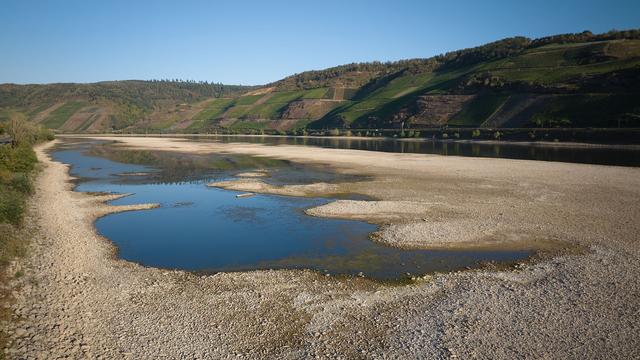 Niedrigwasser: Neue Kiesbänke, alte Bomben - Niedrigwasser verändert Rhein