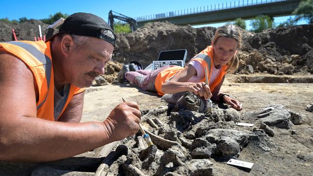 Archäologie: Rätselhafte Gräber - Archäologischer Fund bei Dachritz