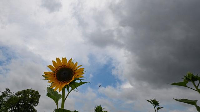 Wetter: Regen im Südwesten erwartet - wird es jetzt endlich kühler?