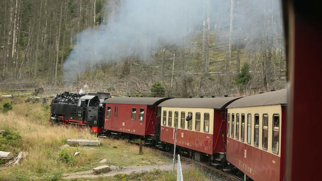 Ausfall wegen Waldbrandgefahr: Brockenbahn fährt wieder mit Dampflok
